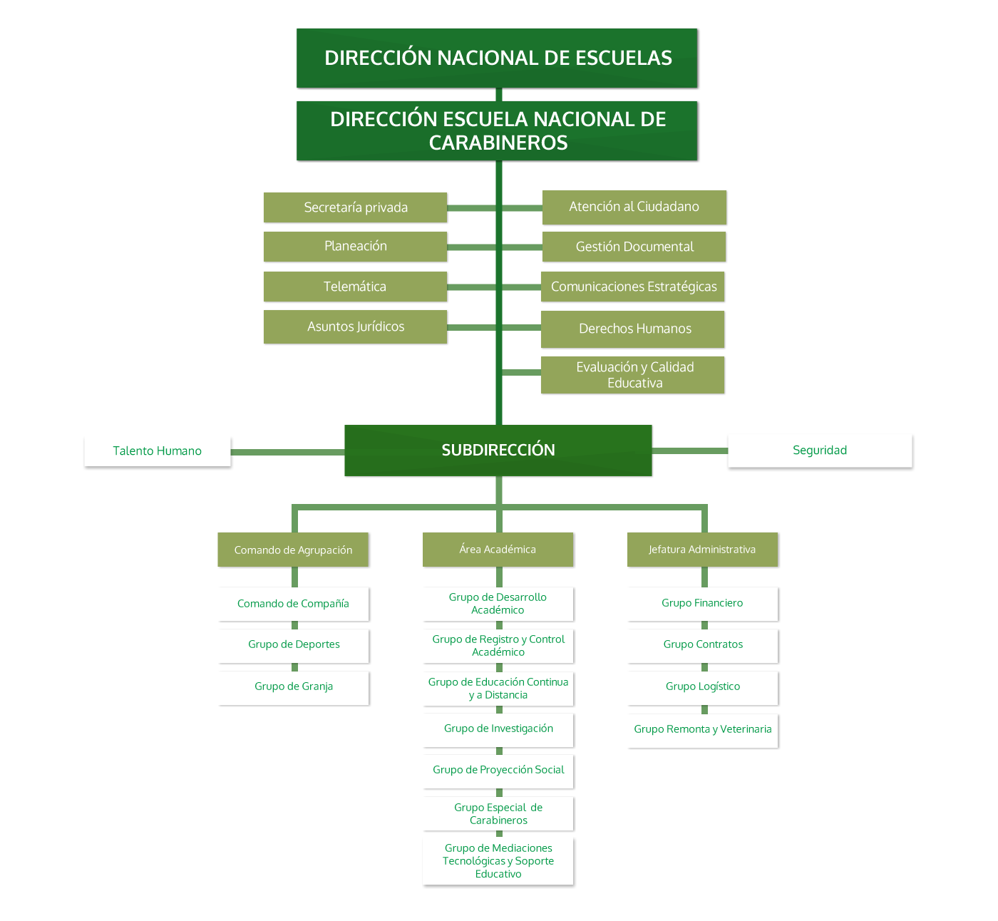 Organigrama ESCAR