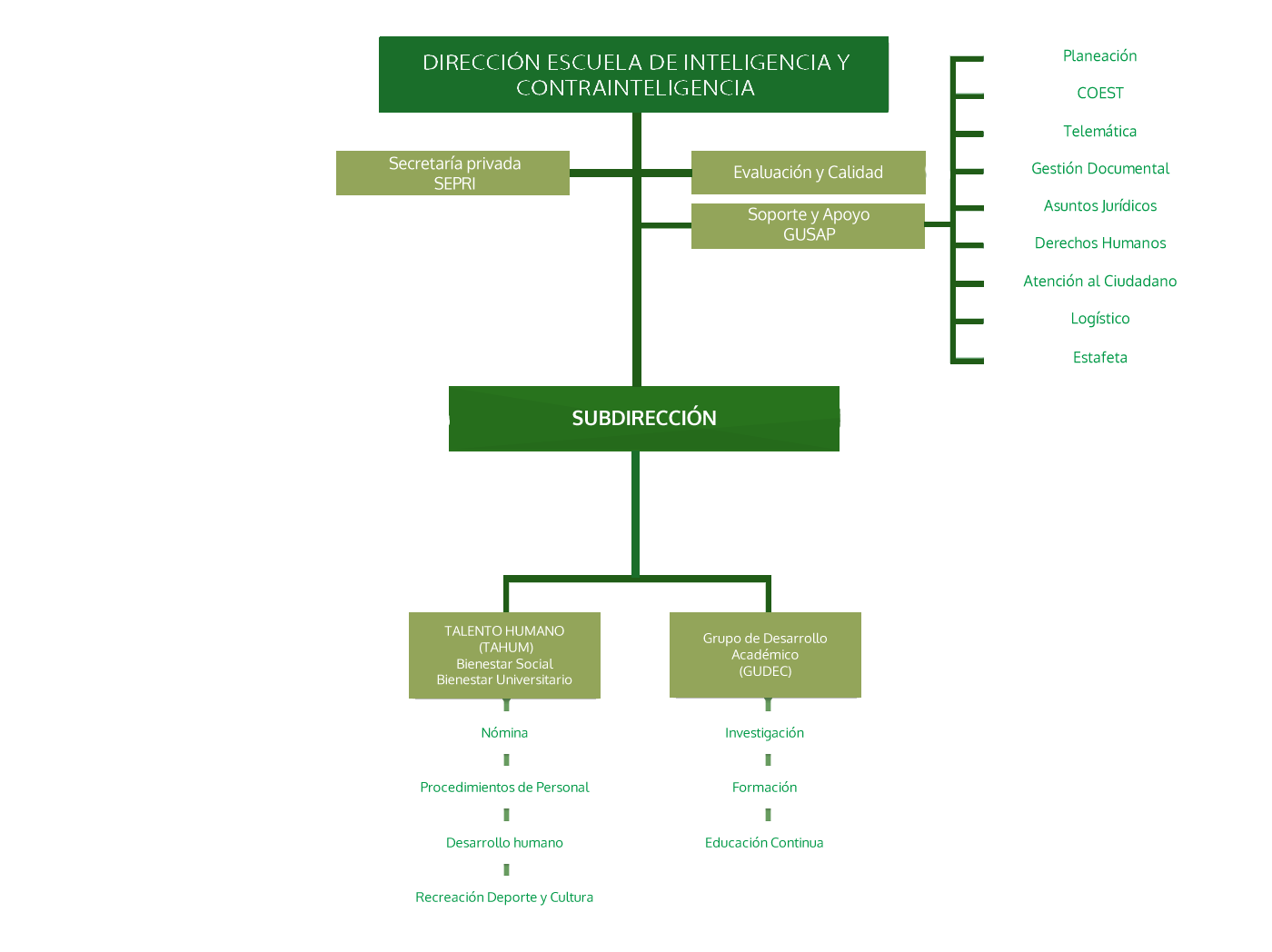 Organigrama ESCIC