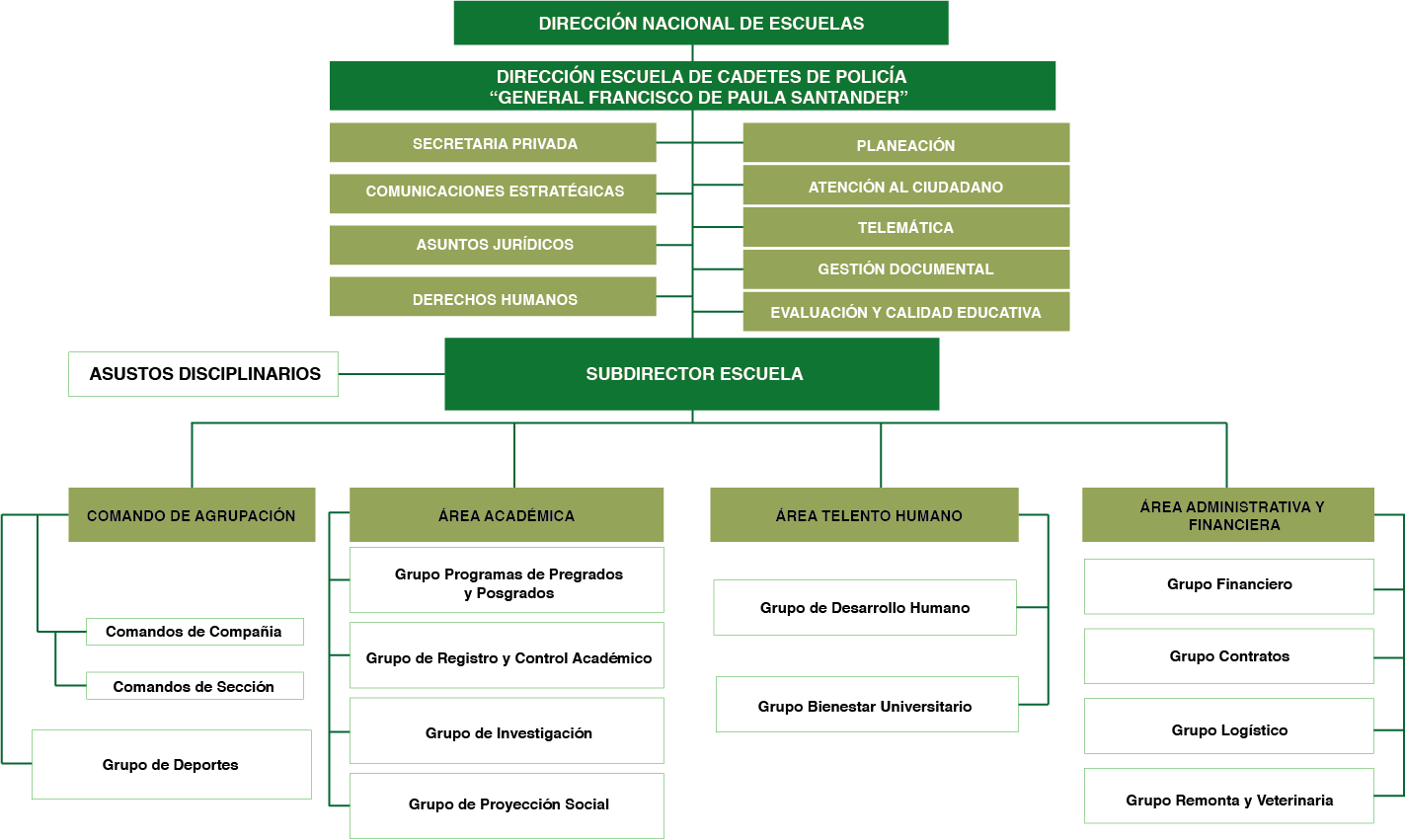 Organigrama ESCAN