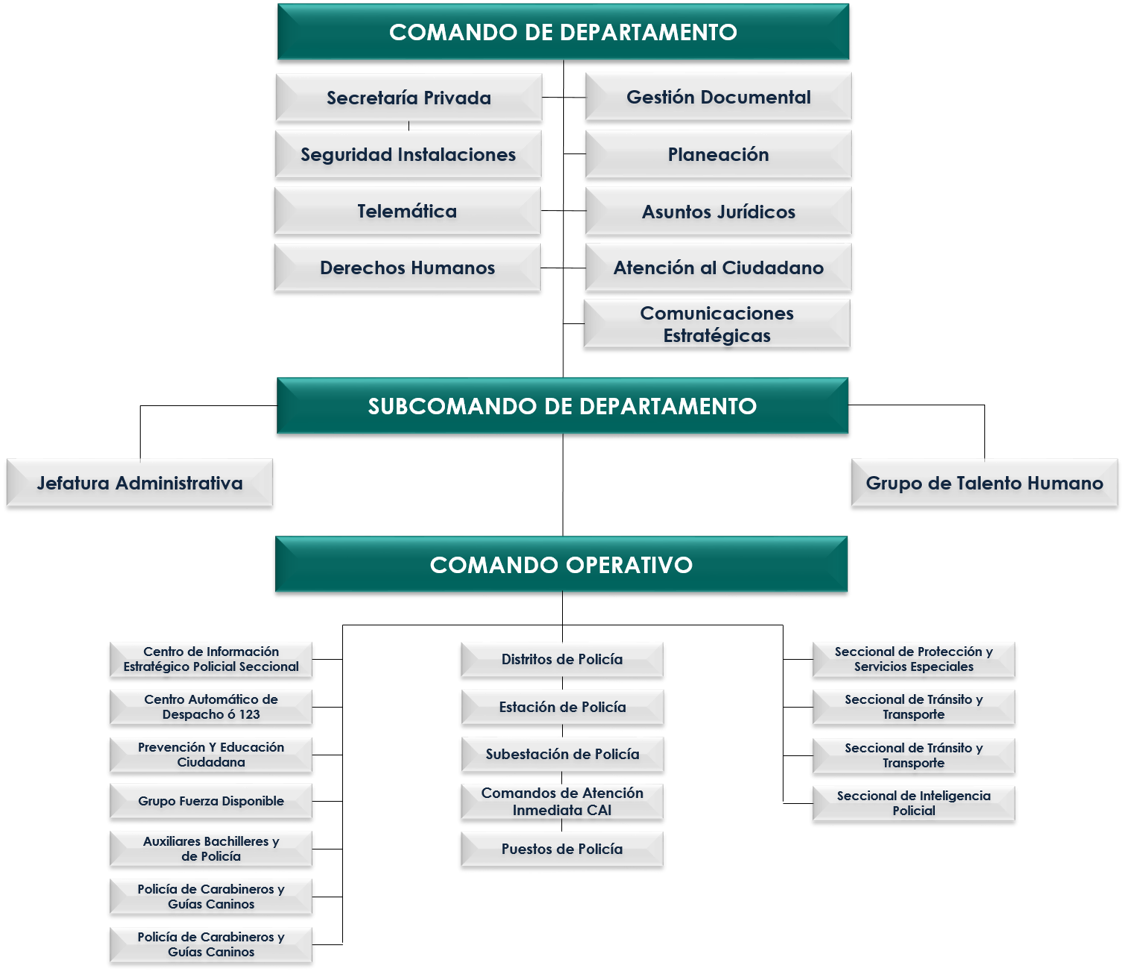 Organigrama DEBOY