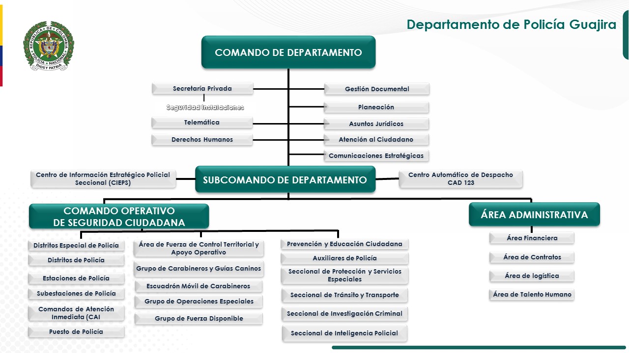 organigrama DEGUA