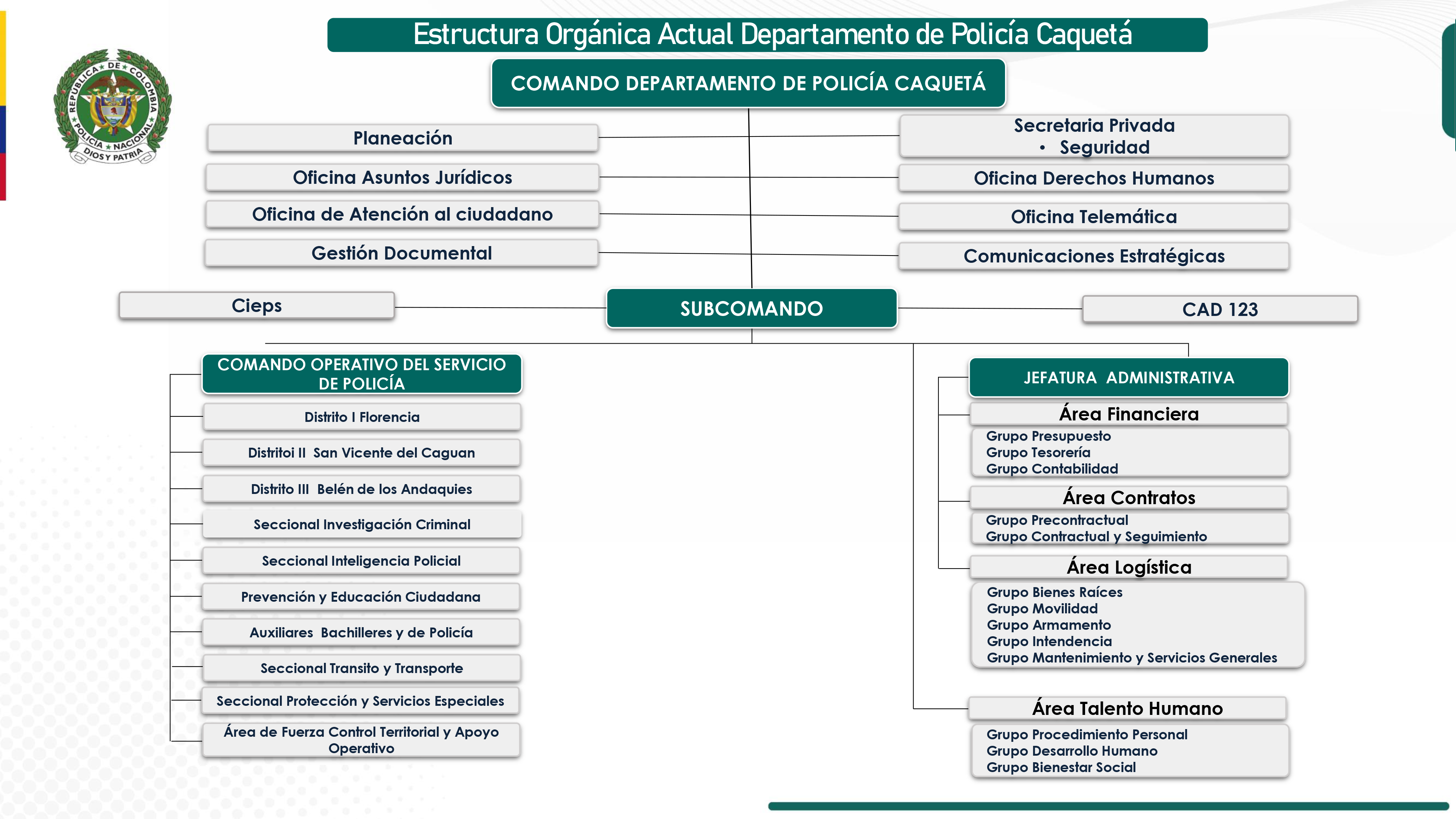 Organigrama Departamento de Policía Caquetá