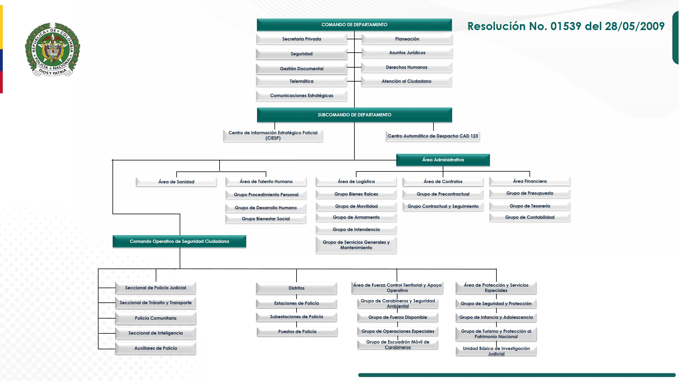 ORGANIGRAMA DEPUY