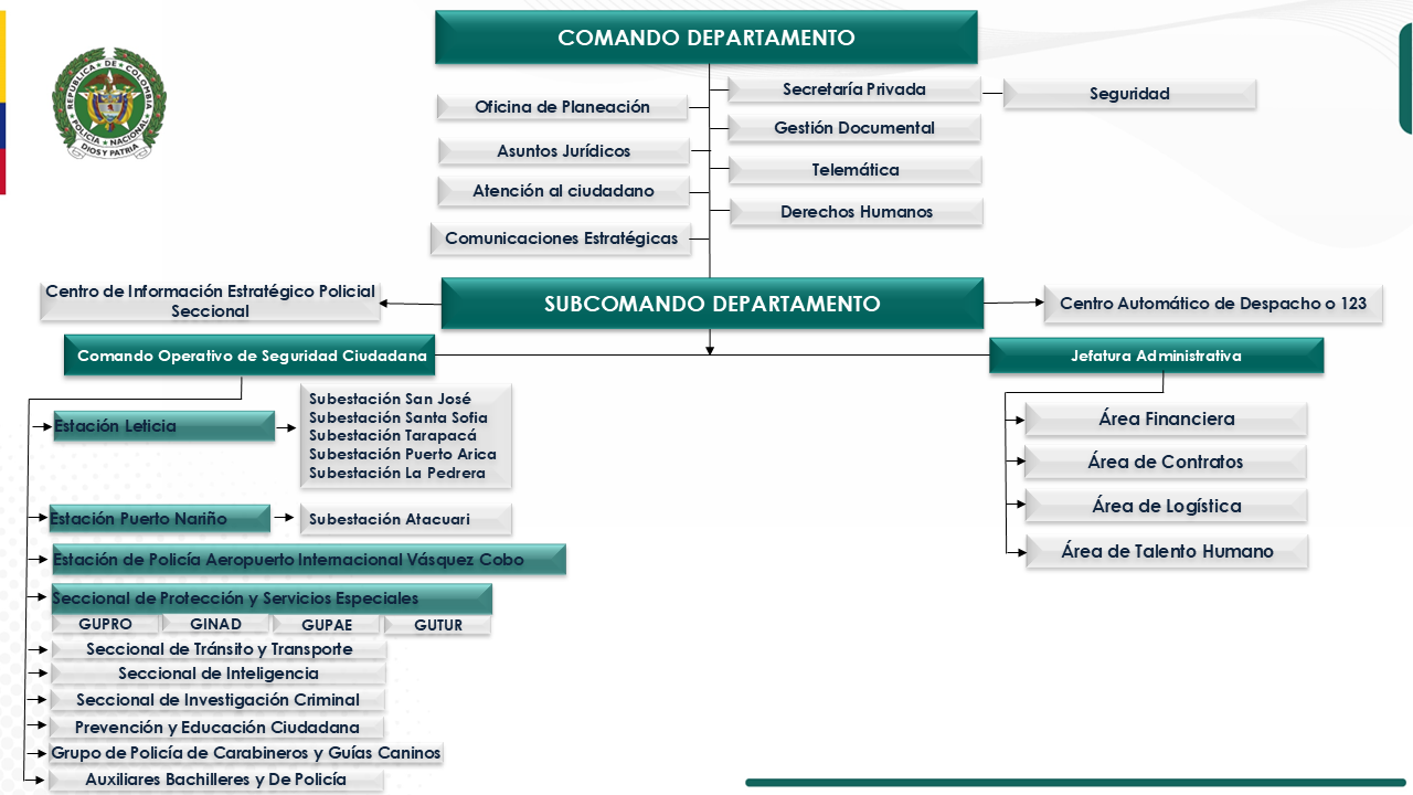 Organigrama DEAMA