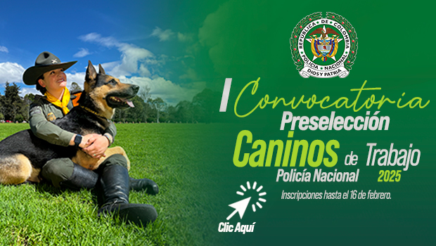 Convocatoria de preselección de caninos de trabajo 