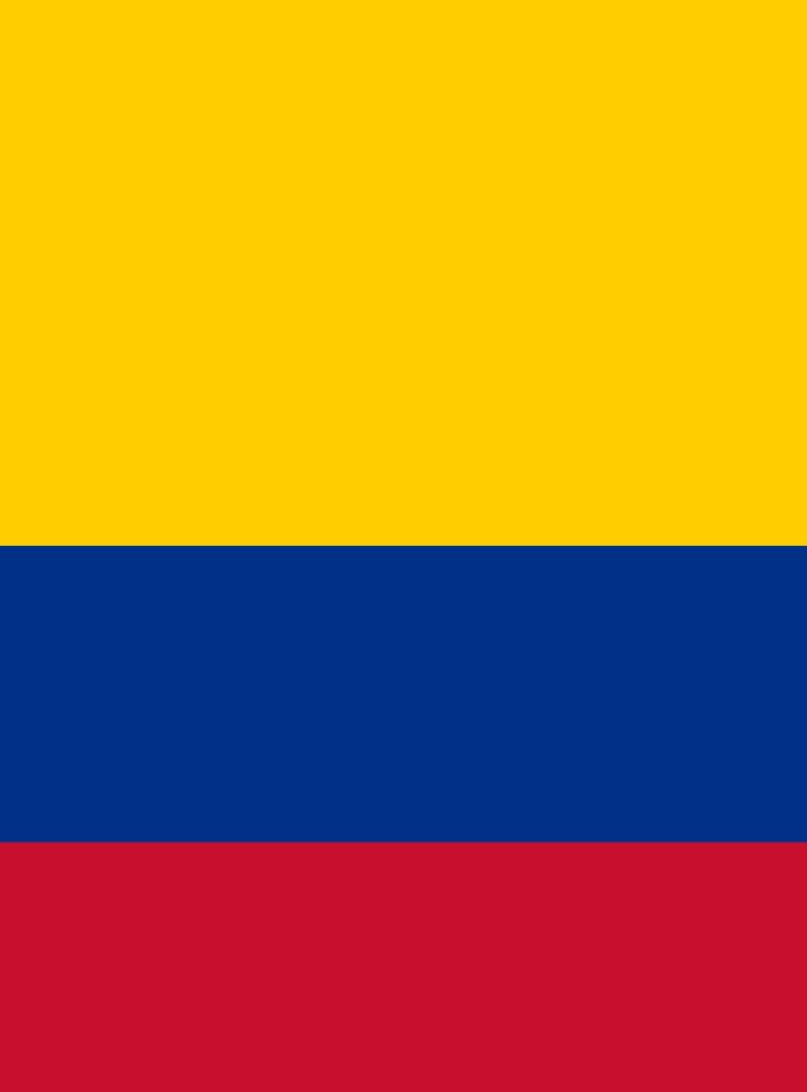 Coronel Cenide Carolina Rodríguez Paz
