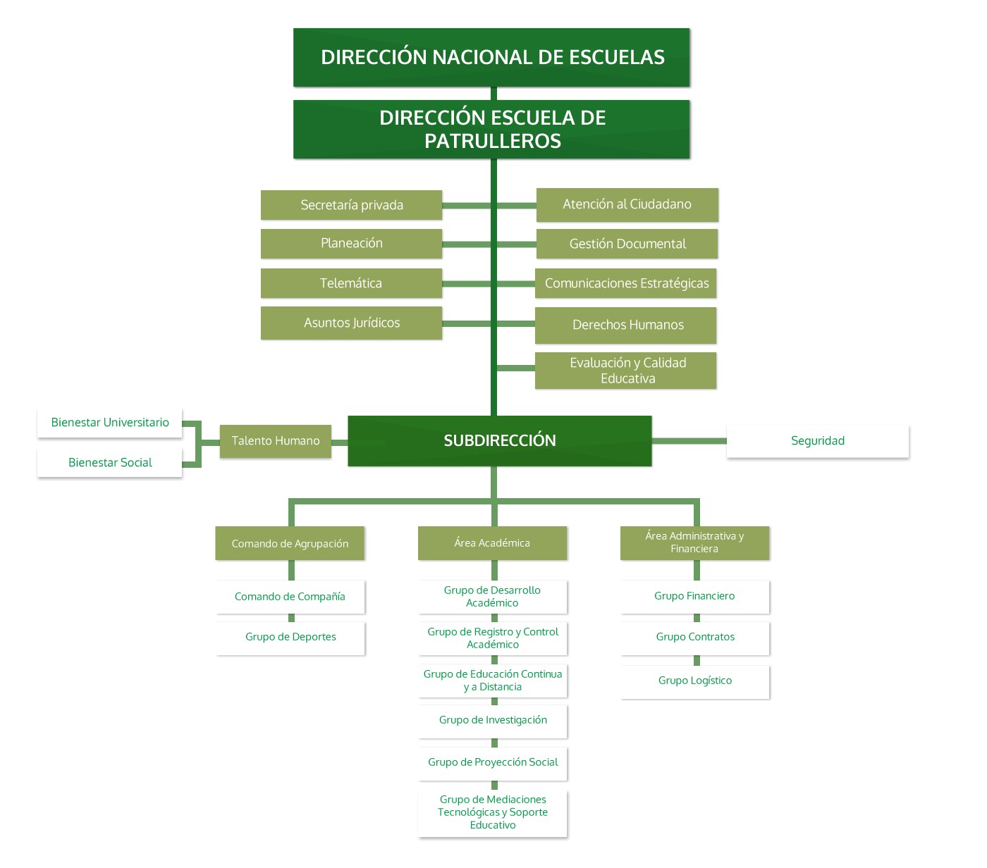 Organigrama ESGON