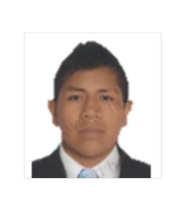 Jhon Wilmer Ulcue Trochez