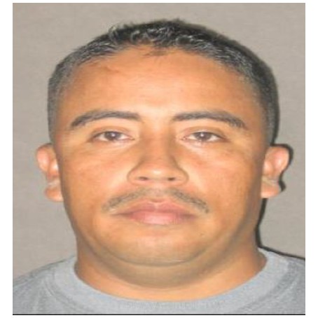 Jose Gonzalo Sanchez Sanchez 