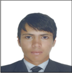 MICHAEL STIVEN TRUJILLO HENAO