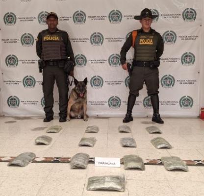 incautación de 7000 gramos de marihuana en una empresa de encomiendas 