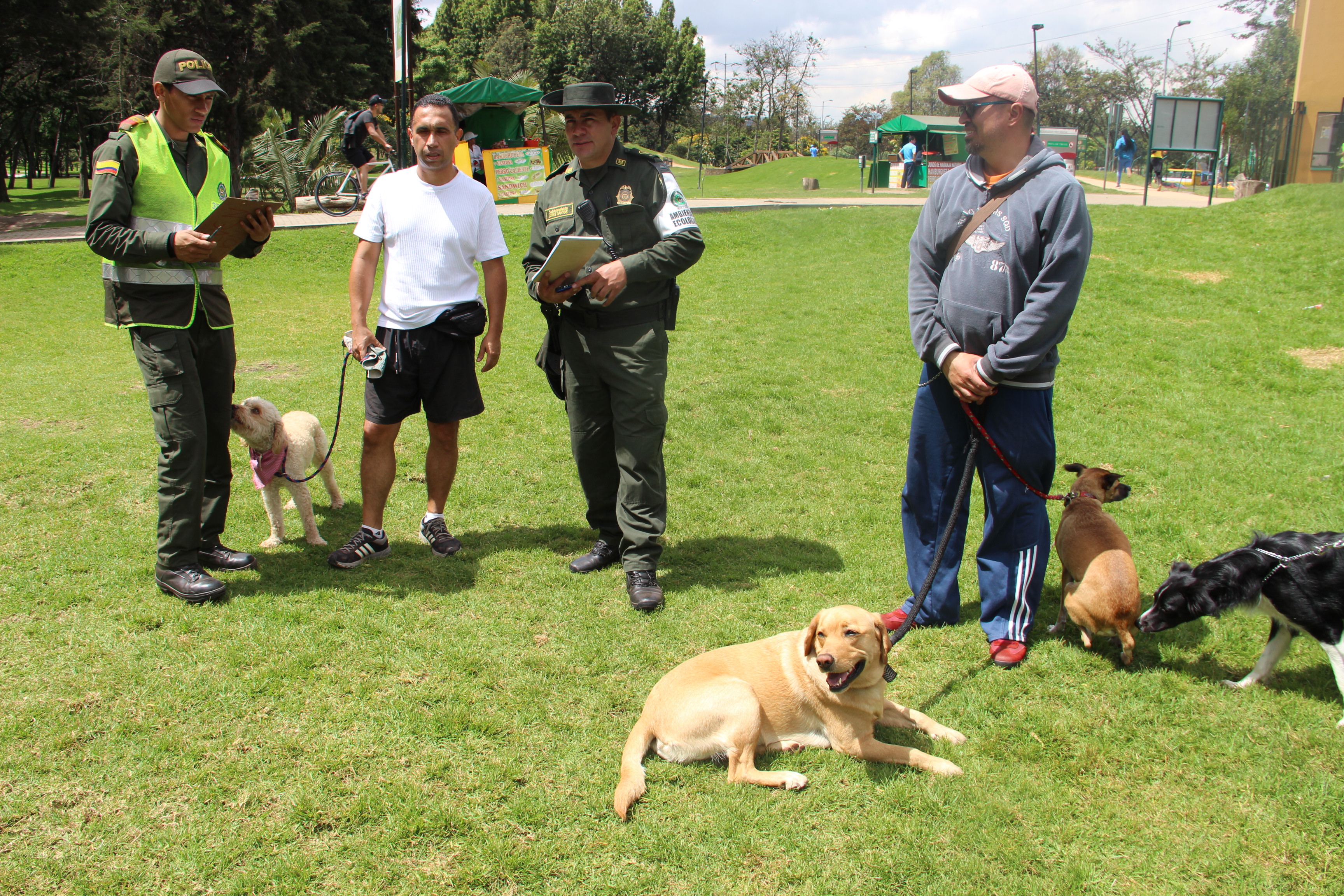 Se-trata-de-una-jornada-pedagógica-frente-al-nuevo-código-nacional-de-policía-y-convivencia. Se-trata-de-una-jornada-pedagógica-frente-al-nuevo-código-nacional-de-policía-y-convivencia.