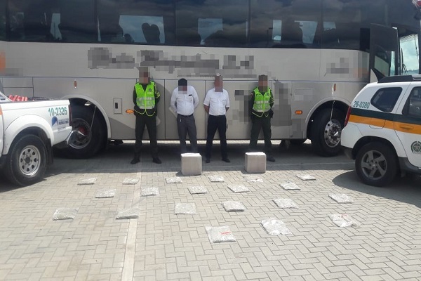 10 kilos de marihuana tipo cripy fueron incautados 