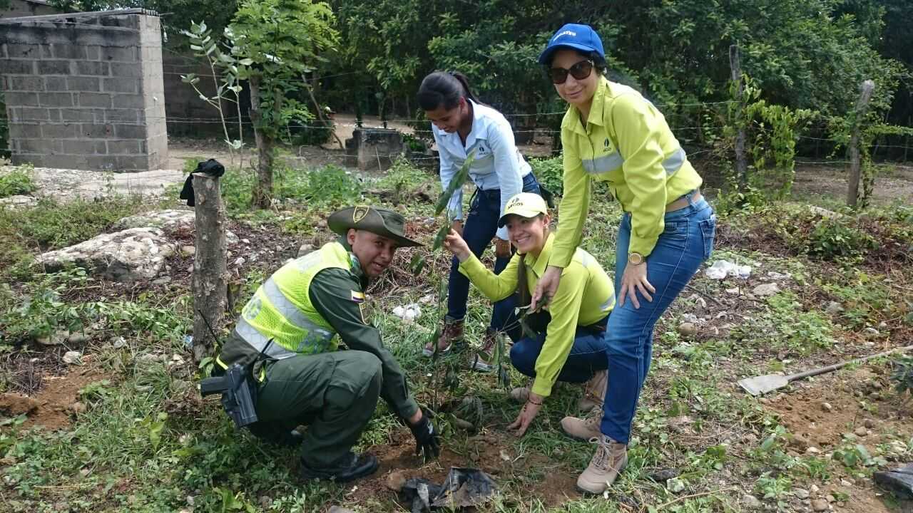 Sembramos700 árboles frutales y maderables para el beneficio de la comunidad