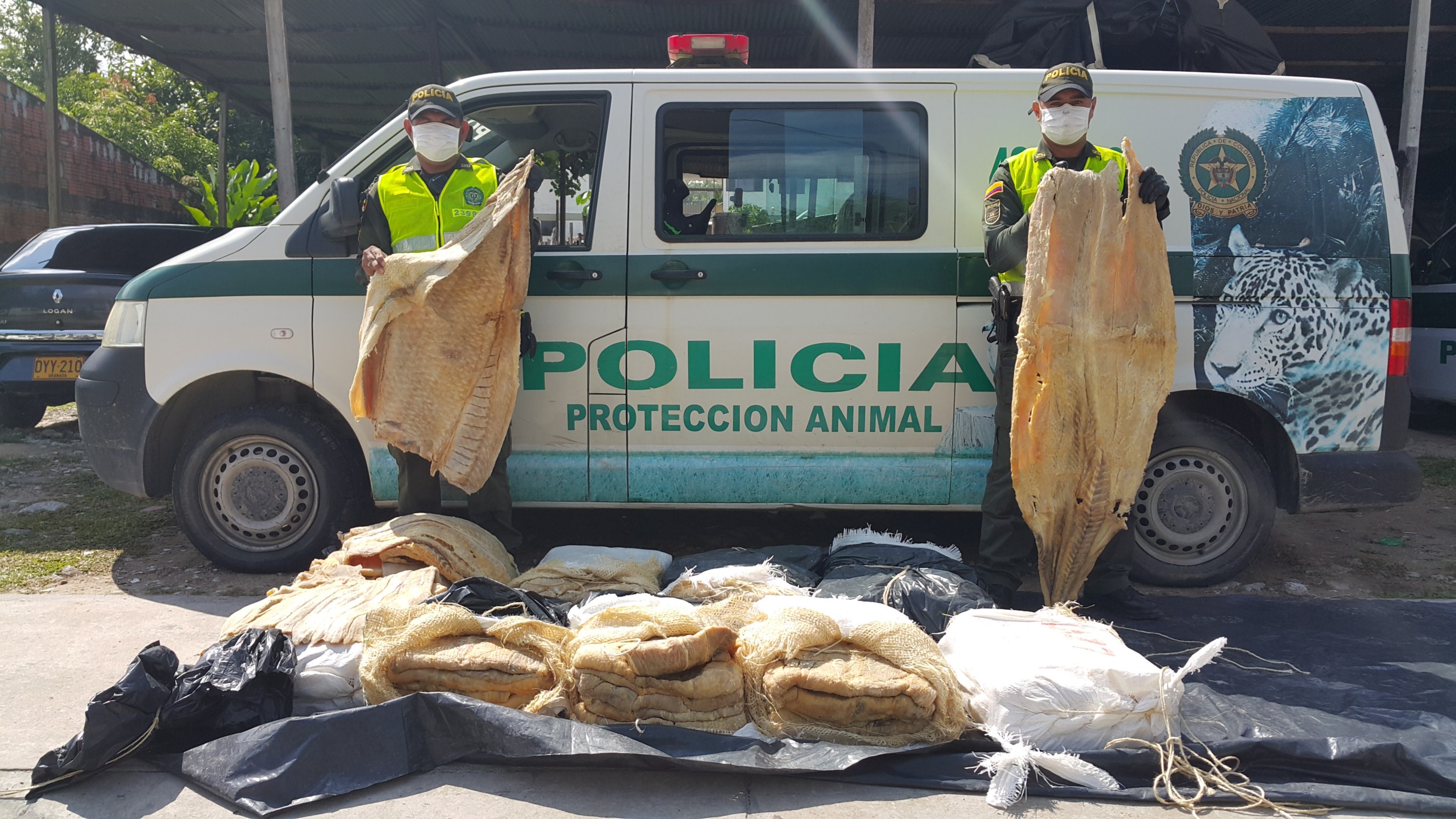 Controles de pesca