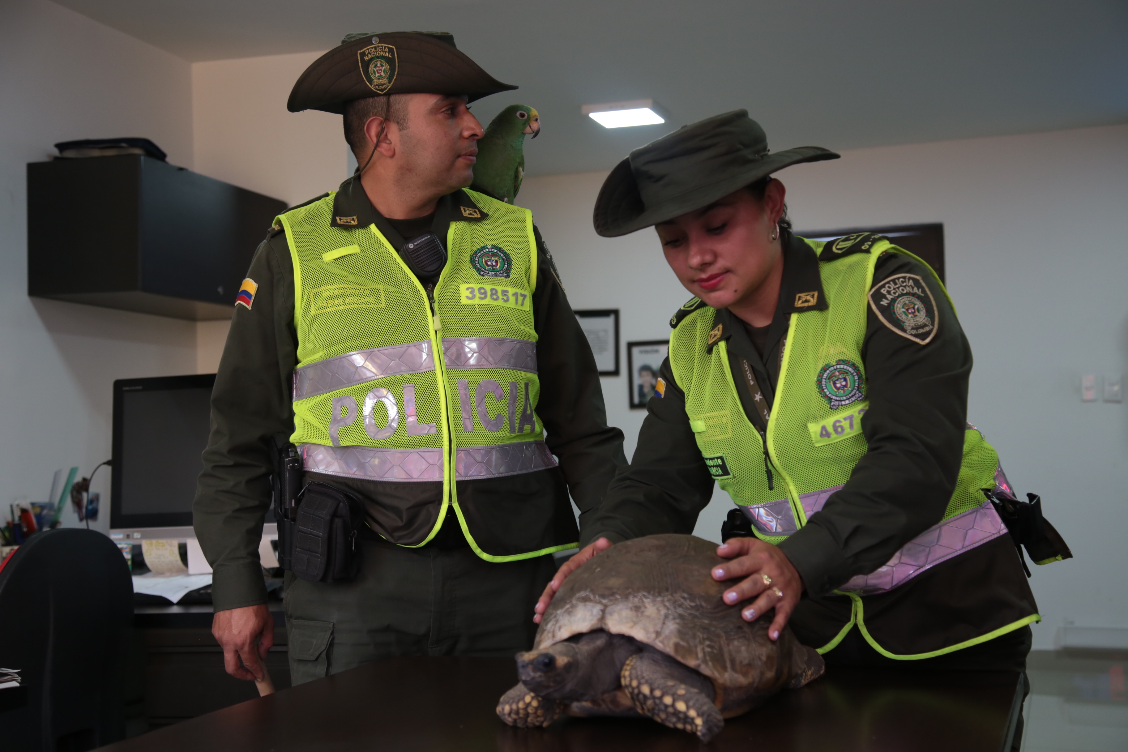 especies_entregadas_corpocalas