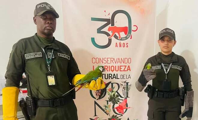 Policía recupera fauna silvestre y decomisa pescado ilegal en operativo ambiental en Puerto Carreño
