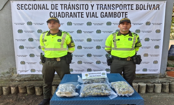 As&iacute; incautaron 2.000 dosis de marihuana que pretend&iacute;an ingresar a Cartagena