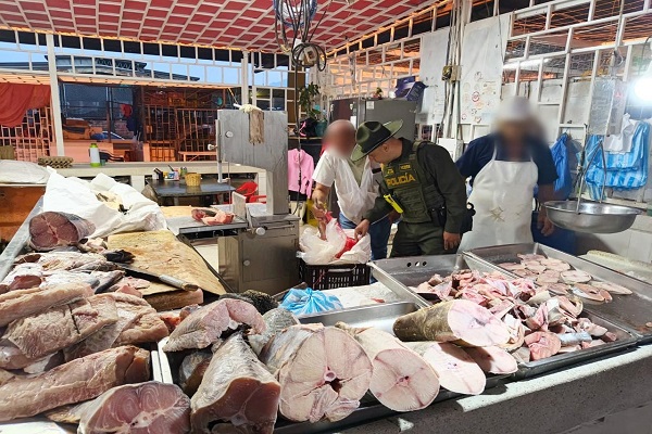 Policía verifica el estado y procedencia del pescado