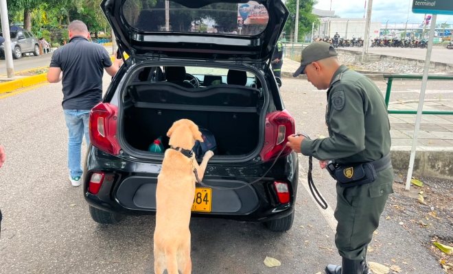 Funcionario policial realizando registro a vehículo con canino 