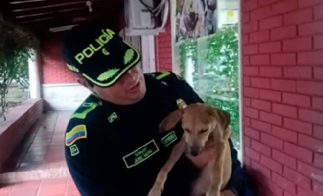 Un policía rescató a un canino de nombre "Doki".