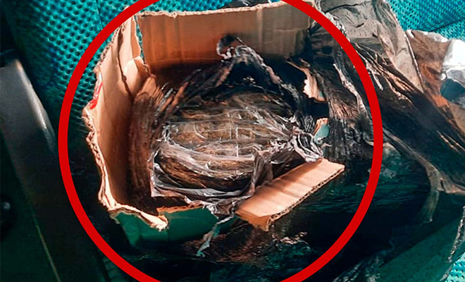 Estupefaciente hallado