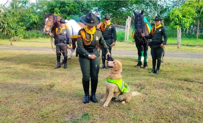 Policías rinden homenaje a Jeffry, un canino que culmino su servicio. 