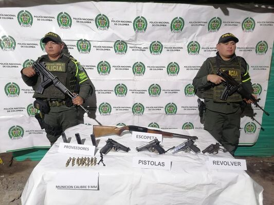 Incautación de armas de fuego