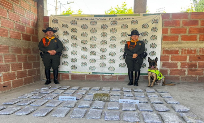 Dos policías y Incautación de treinta mil dosis de marihuana con ayuda de un canino