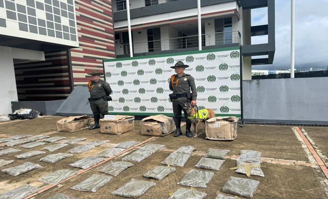 02 policias, 01 perro antidrogas, 04 cajas que contienen marihuana, en el piso paquetes de marihuana 