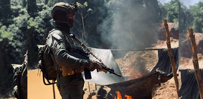 Intervención fue liderada por la Dirección de Carabineros y Protección Ambiental.