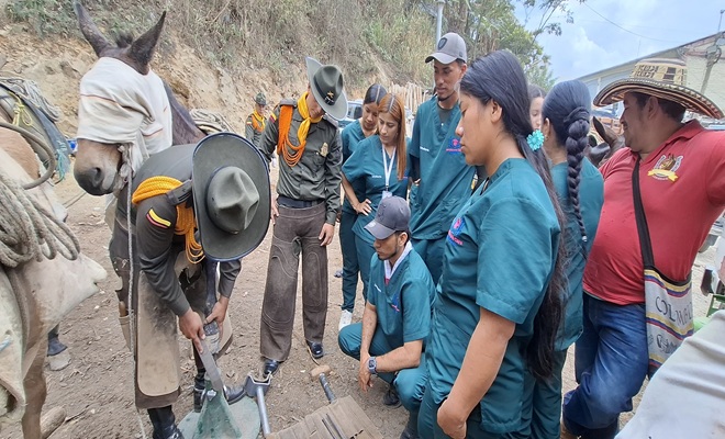 Policias realizan jornada de salud para equinos en Marmato