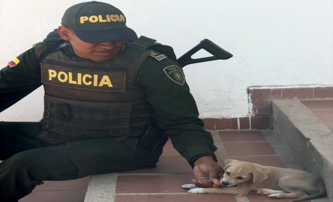 Policía y un cachorro