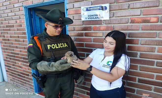 Policía Nacional reafirma su compromiso con la fauna en Norte de Santander