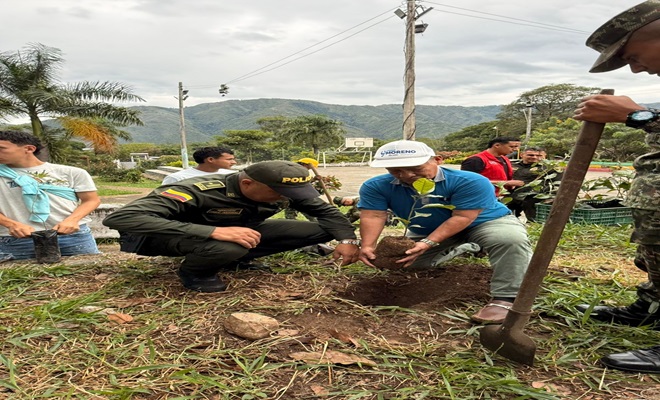 Reforestando con la comunidad.