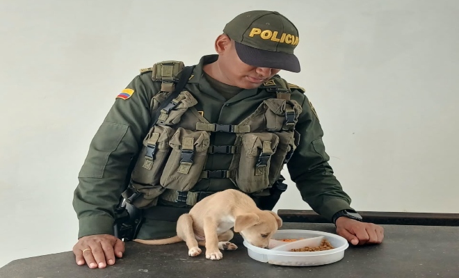 Uniformado alimentando a un cachorro