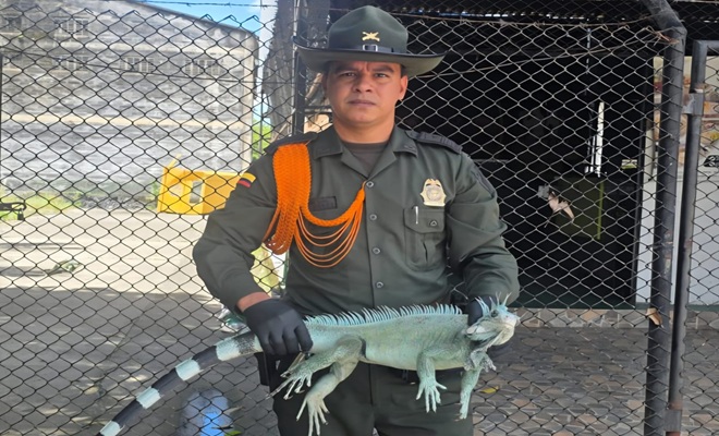 Un policía ambiental y una iguana
