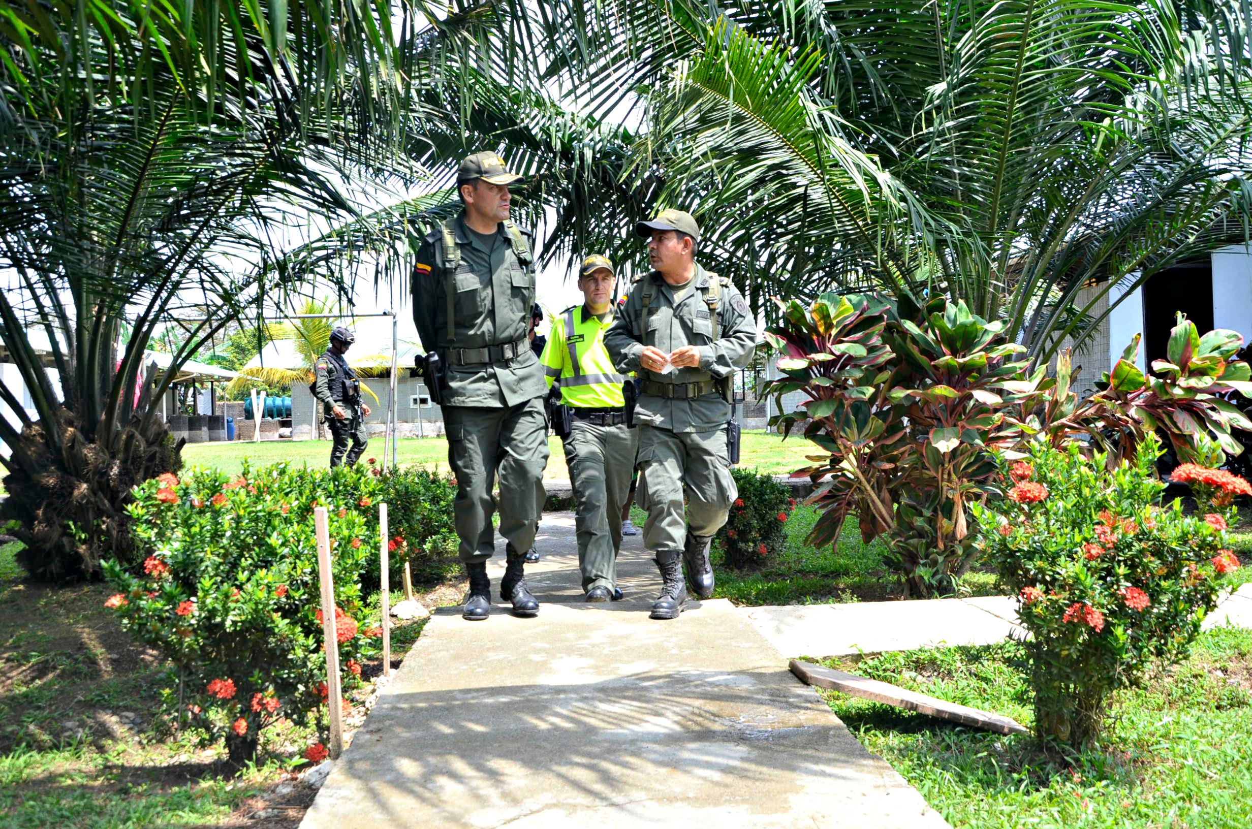 actividades