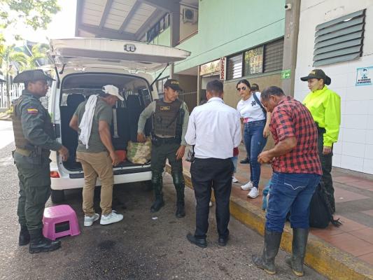 Actividad turismo