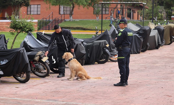 Trámite certificación especialidad canina en el aplicativo SICECK9