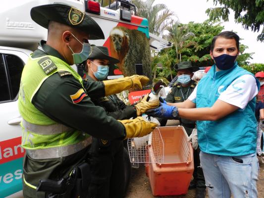 Avanzamos en la protección de la fauna silvestre