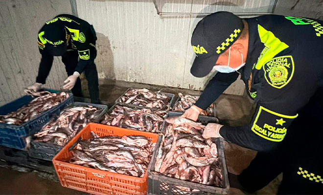Dos policías revisando pescado incuatado