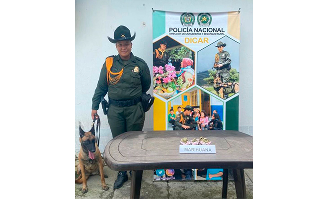 NARCOENCOMIENDA