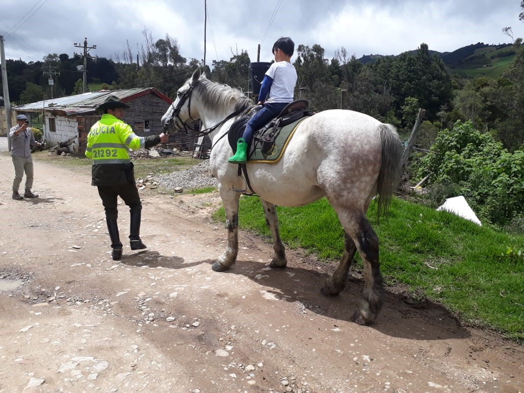 campana-preventiva