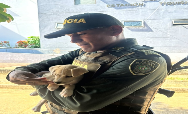 canino junto a su cuidador