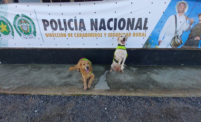 Ramón y Lila
