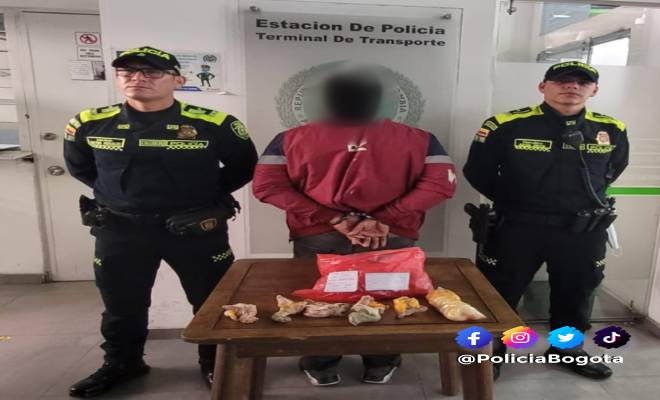 Transportaban de forma ilegal en jaulas y cajas diferentes especies  Transportaban de forma ilegal en jaulas y cajas diferentes especies