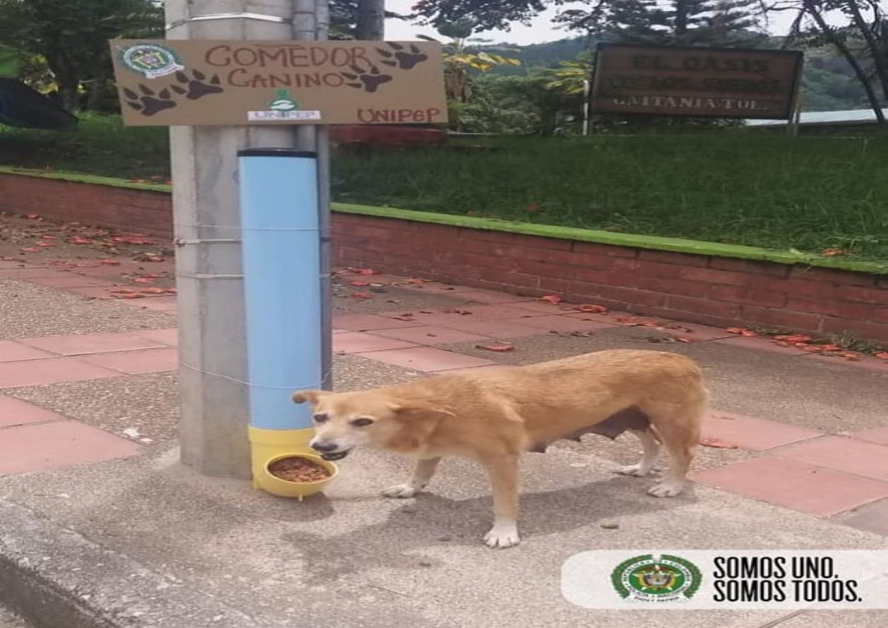 comerdor_canino