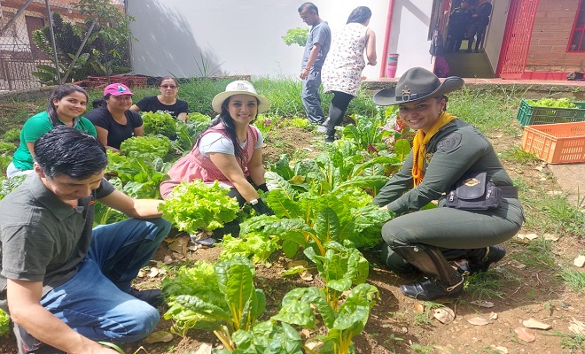 Iniciativa "Ecohuertas"