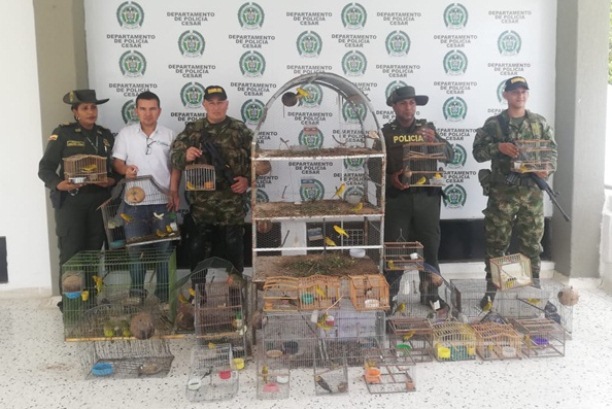 Controles-al-tráfico-ilegal-de-fauna-en-el-Cesar